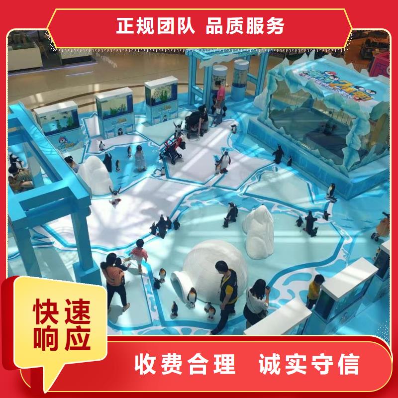 海洋主题动物表演企鹅出租品质卓越