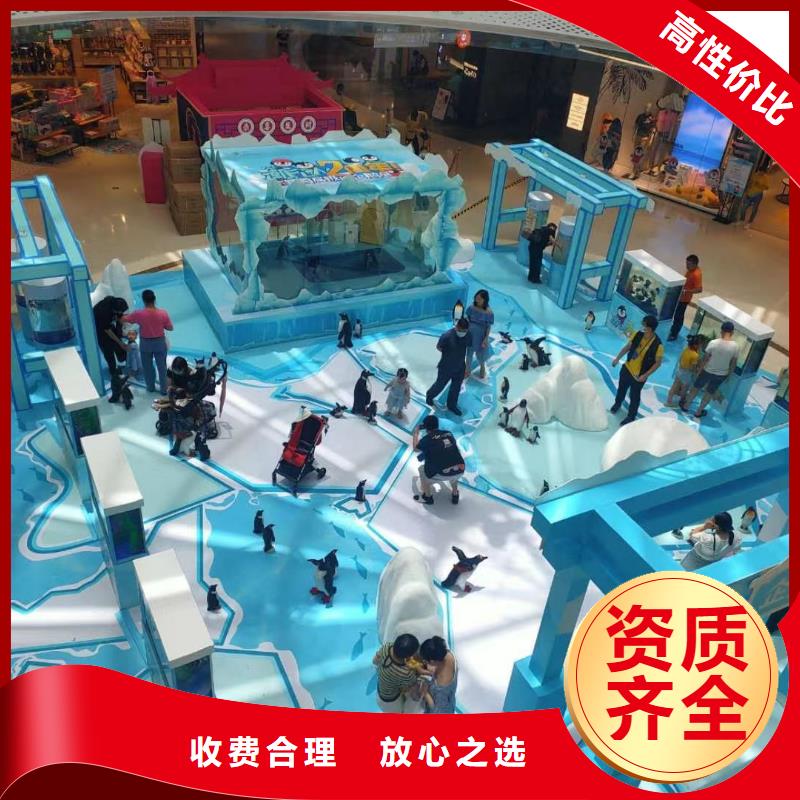 海洋主题动物表演观赏性羊驼租赁解决方案