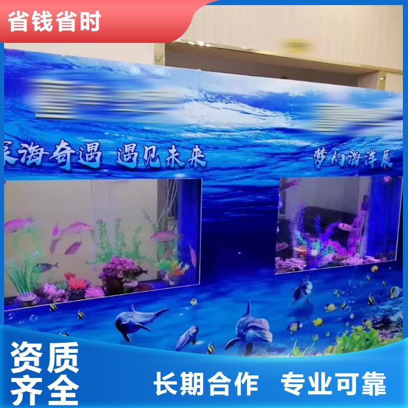 海洋主题动物表演企鹅出租品质卓越