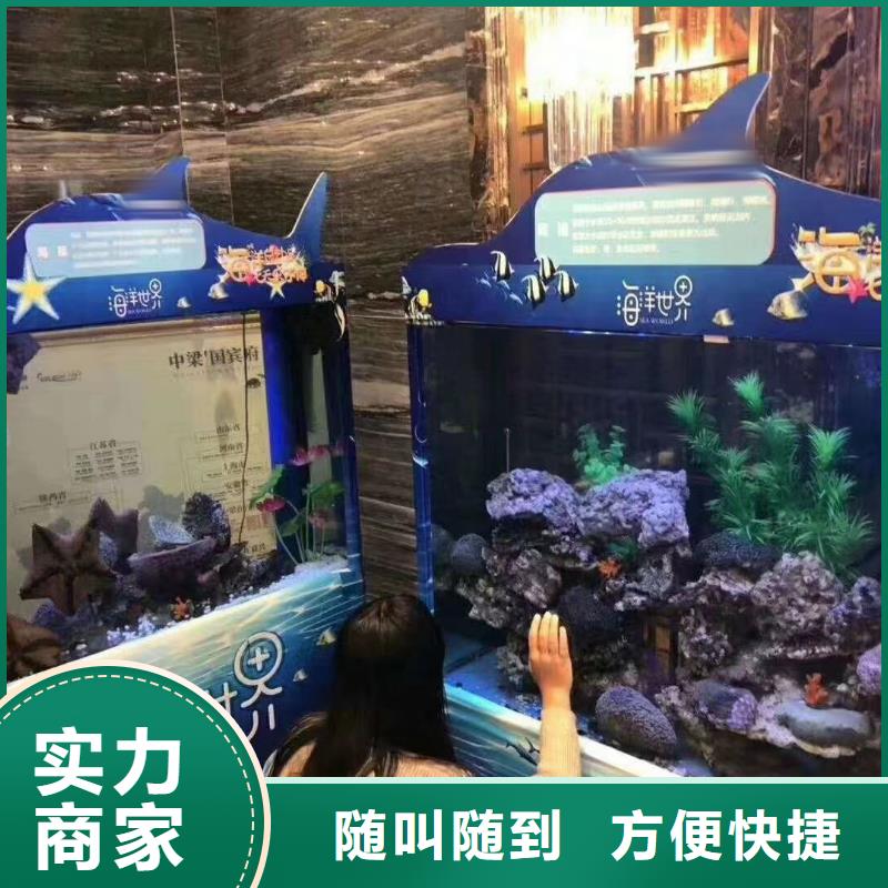 海洋主题动物表演【鹦鹉表演租赁】放心