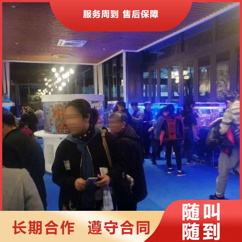 海洋主题动物表演小香猪宠物出租服务至上