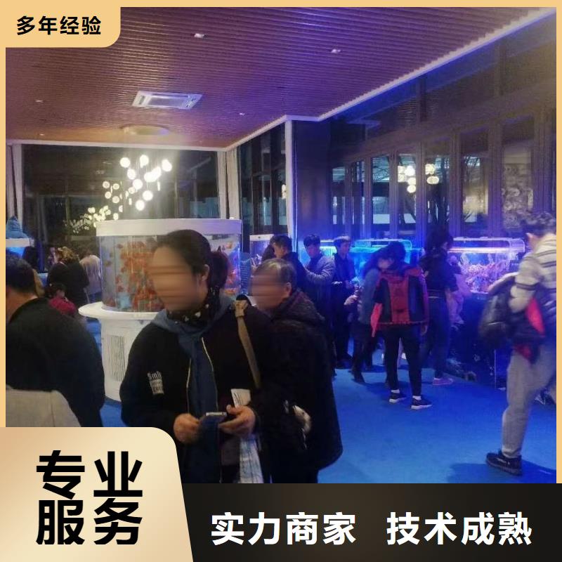 海洋主题动物表演马戏团表演出租租赁注重质量
