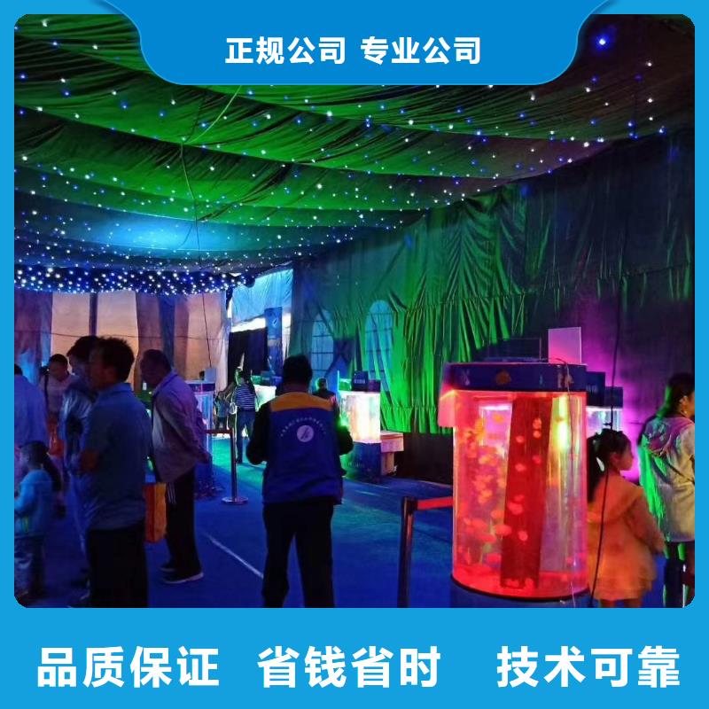 出租海狮表演创意方案