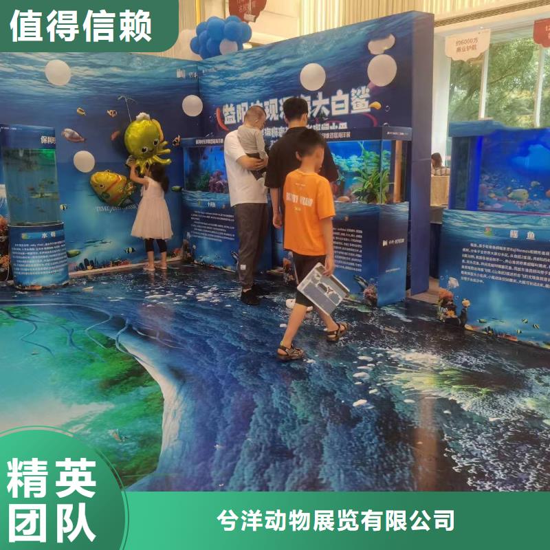 哪有租赁美人鱼表演的主题展览