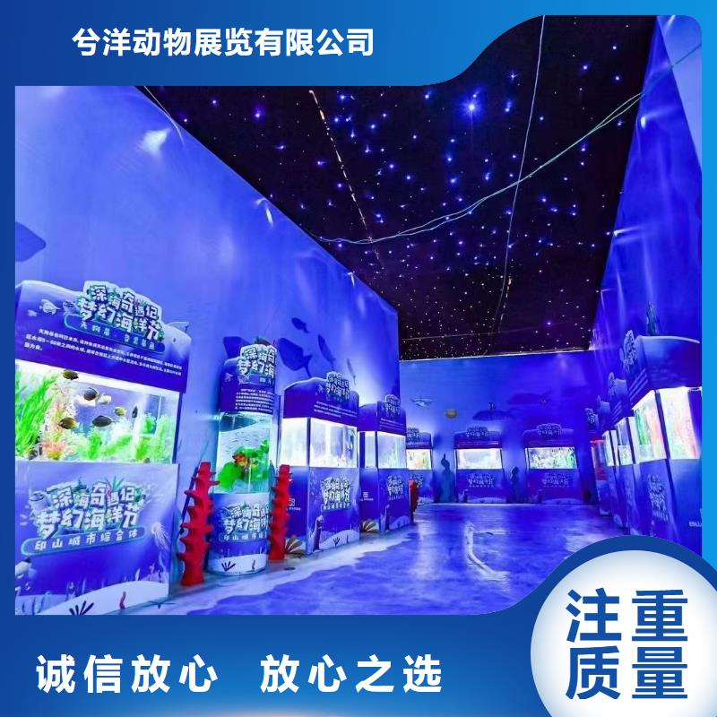 海洋主题动物表演【马戏团表演出租租赁】高品质
