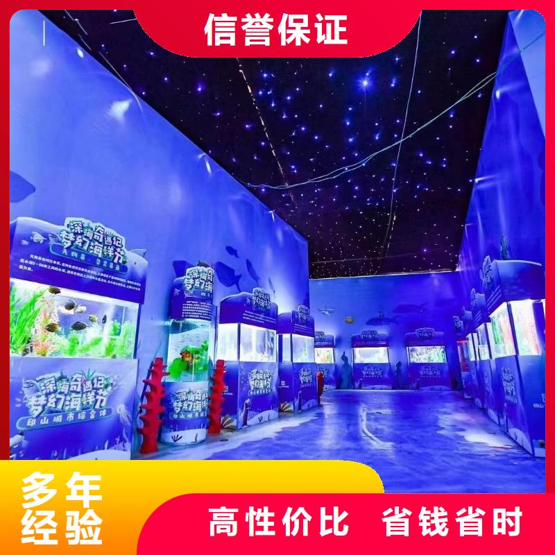 海洋主题动物表演海狮表演出租案例丰富