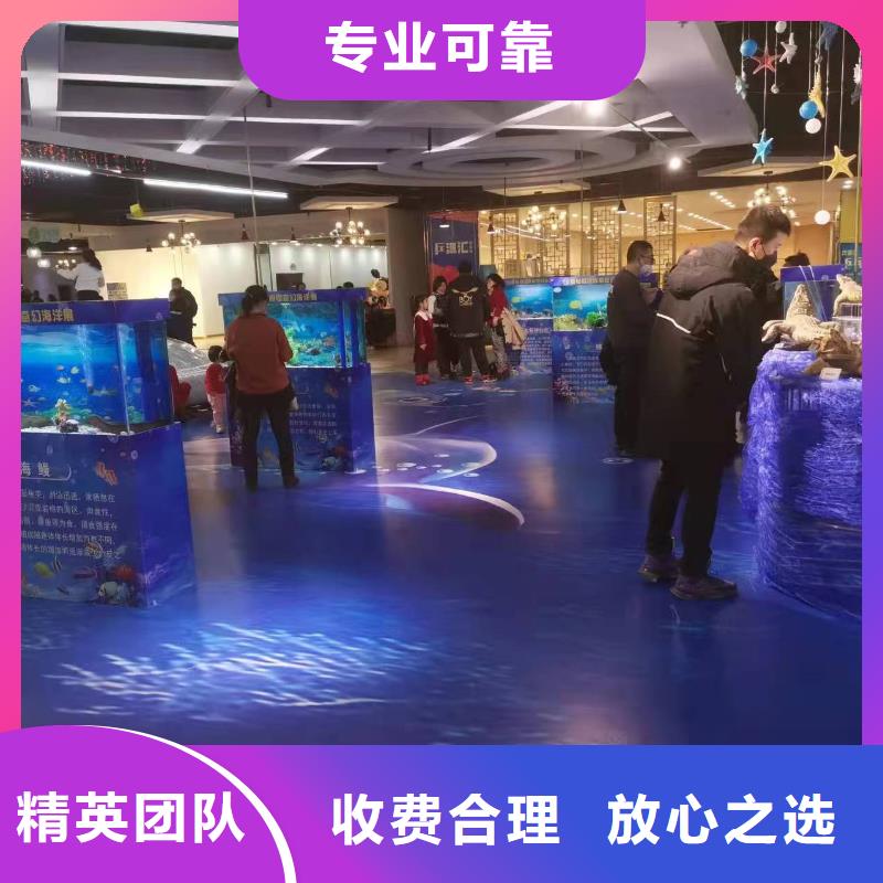 海洋主题动物表演海洋展租赁技术精湛
