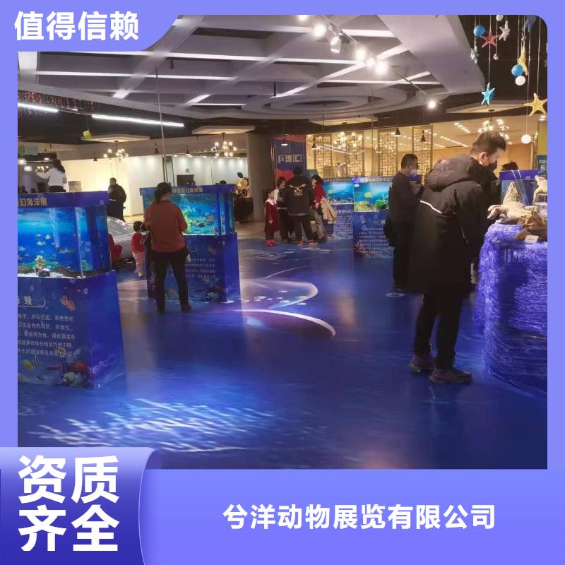 海洋展出租庆典活动
