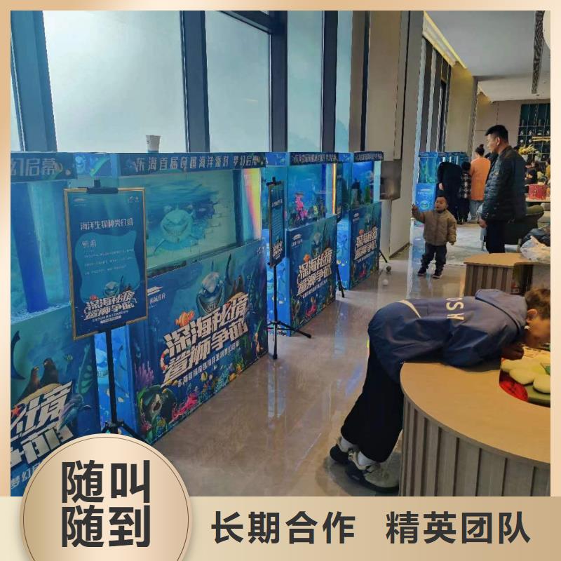 海洋主题动物表演-海狮表演出租正规