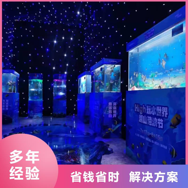 海洋主题动物表演出租表演鹦鹉技术比较好