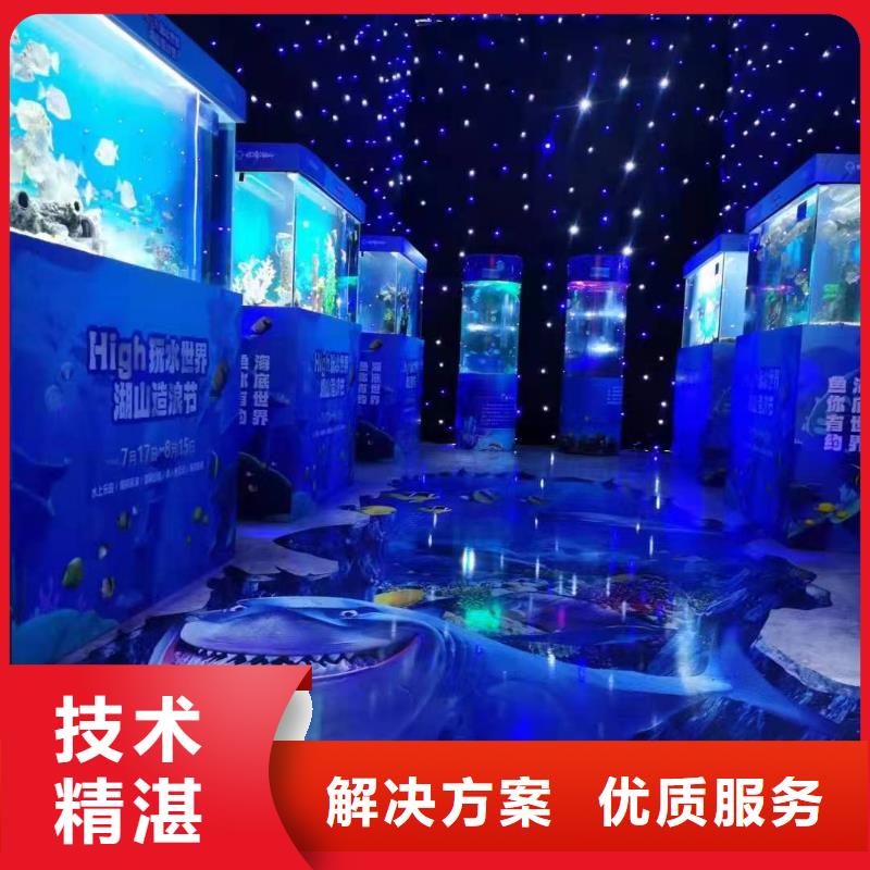 海洋主题动物表演出租表演海狮质量保证