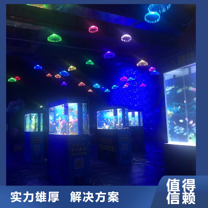 海洋主题动物表演 小马戏表演出租技术精湛