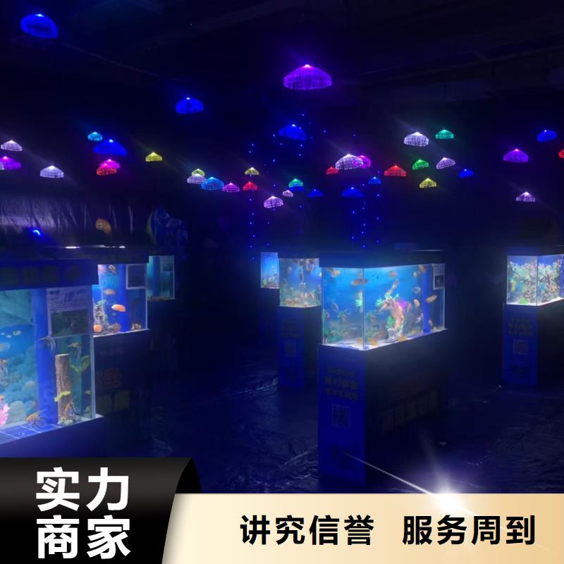 海洋主题动物表演【动物杂技表演租赁】2025专业的团队