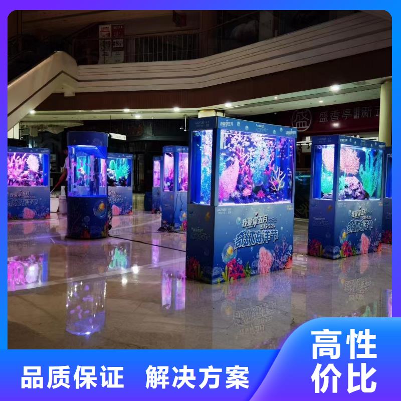 海洋主题动物表演美人鱼表演放心之选