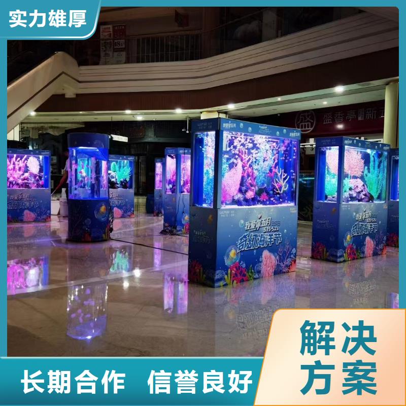 出租海狮哪里有
