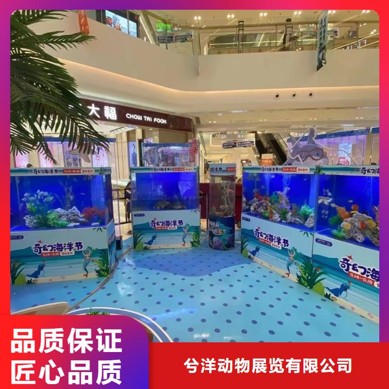 附近美人鱼表演出租图片参考
