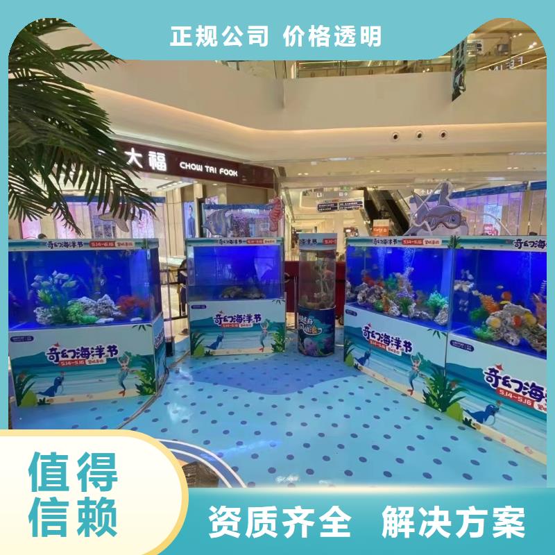 海洋主题动物表演【鹦鹉表演租赁】放心