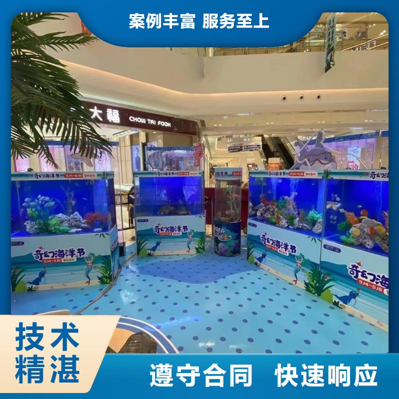 海洋主题动物表演_海狮表演出租口碑商家