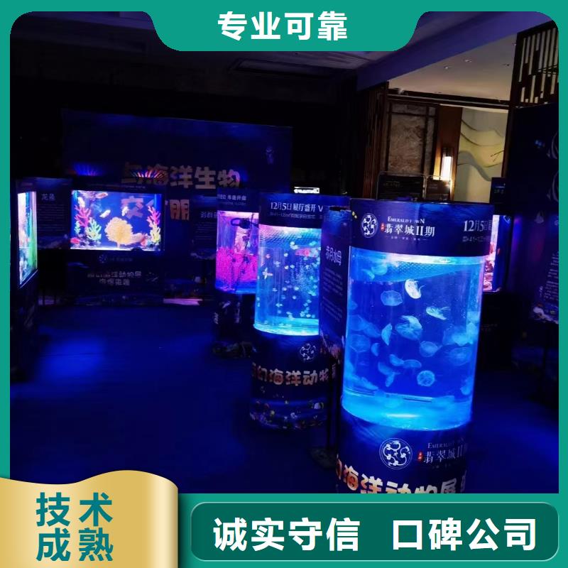 海洋主题动物表演,出租表演萌宠收费合理