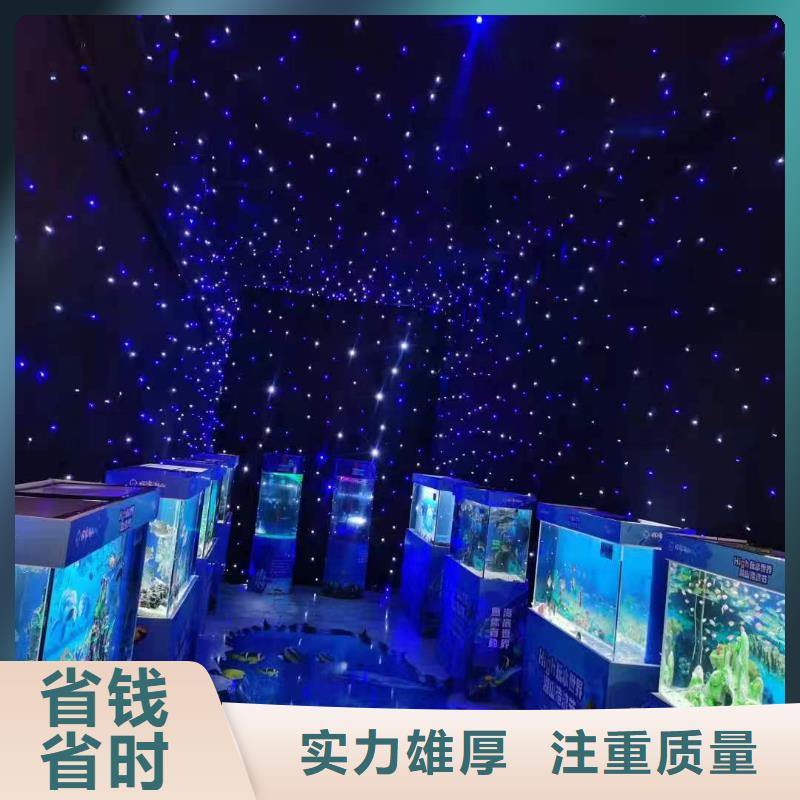 海洋主题动物表演,企鹅租赁2025公司精心