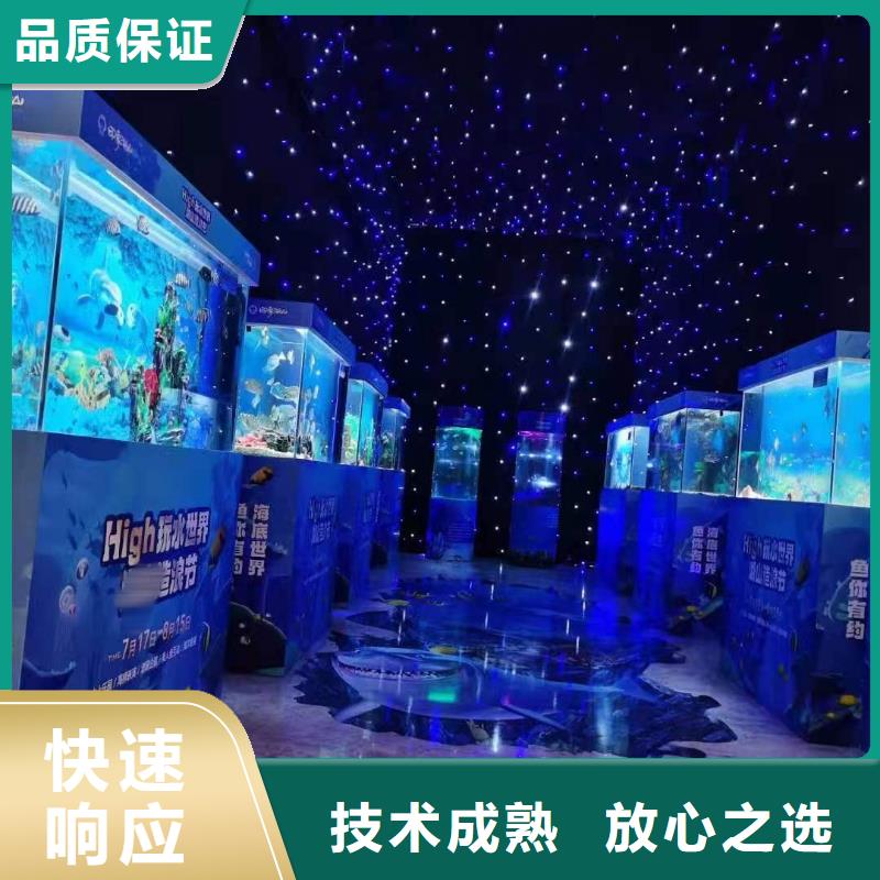 海洋主题动物表演,海狮表演出租2025公司精心