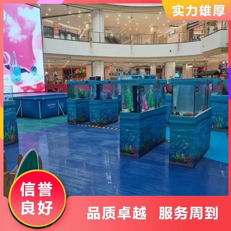 海洋主题动物表演,海狮表演出租2025公司精心