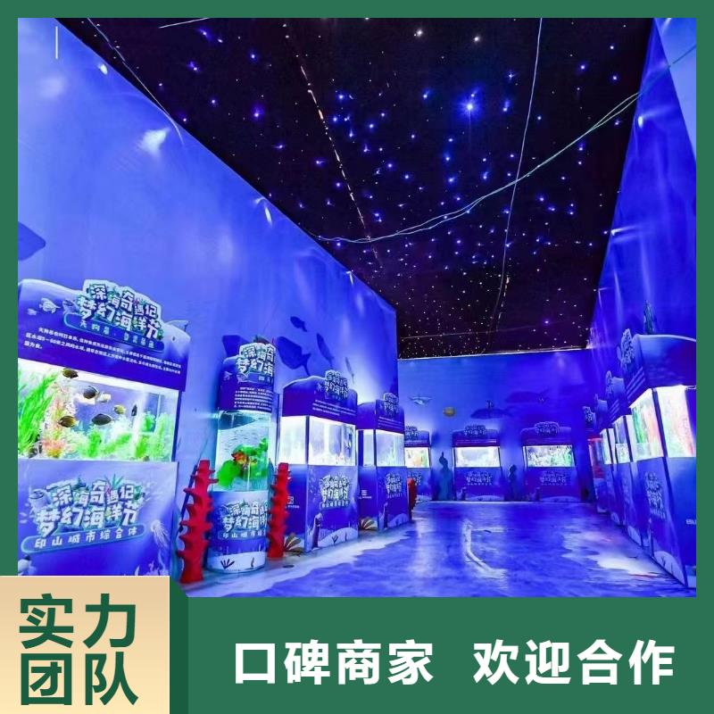 海洋主题动物表演【杂耍演出】价格低于同行