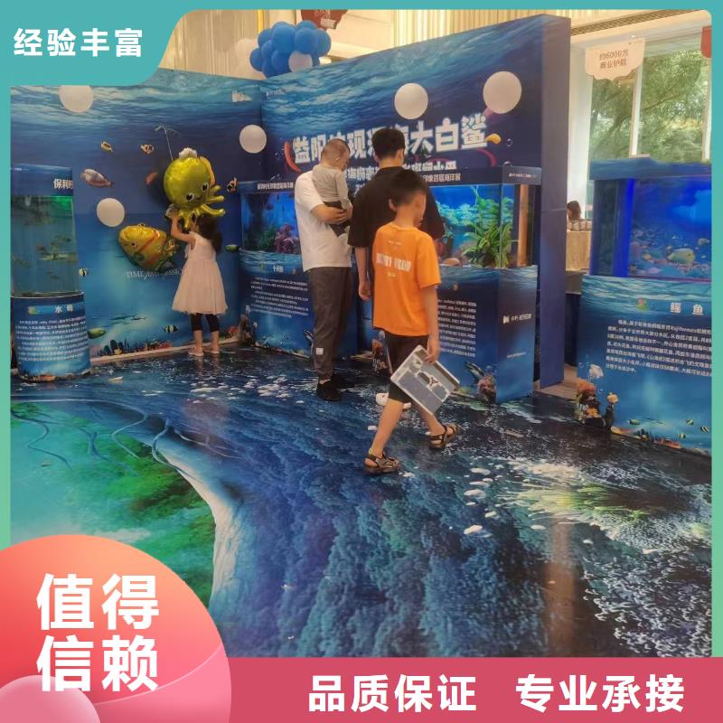 海洋主题动物表演美人鱼表演放心之选
