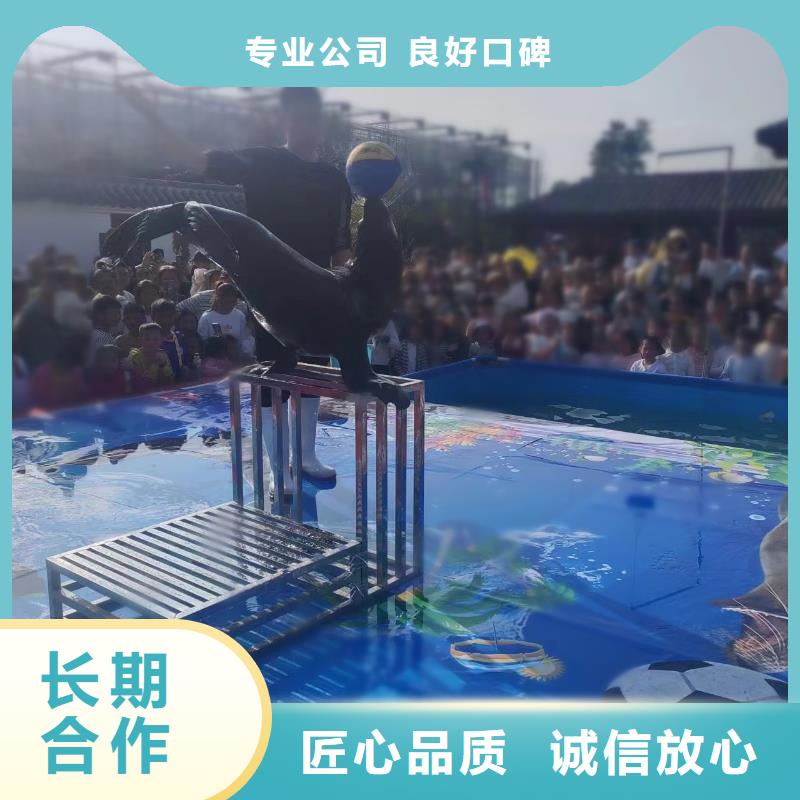 租赁美人鱼表演暖场氛围