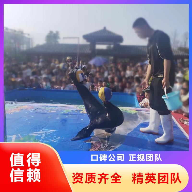 海洋主题动物表演海洋展租赁实力商家