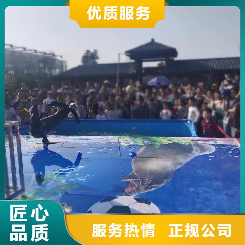 【海洋主题动物表演】美人鱼表演实力强有保证
