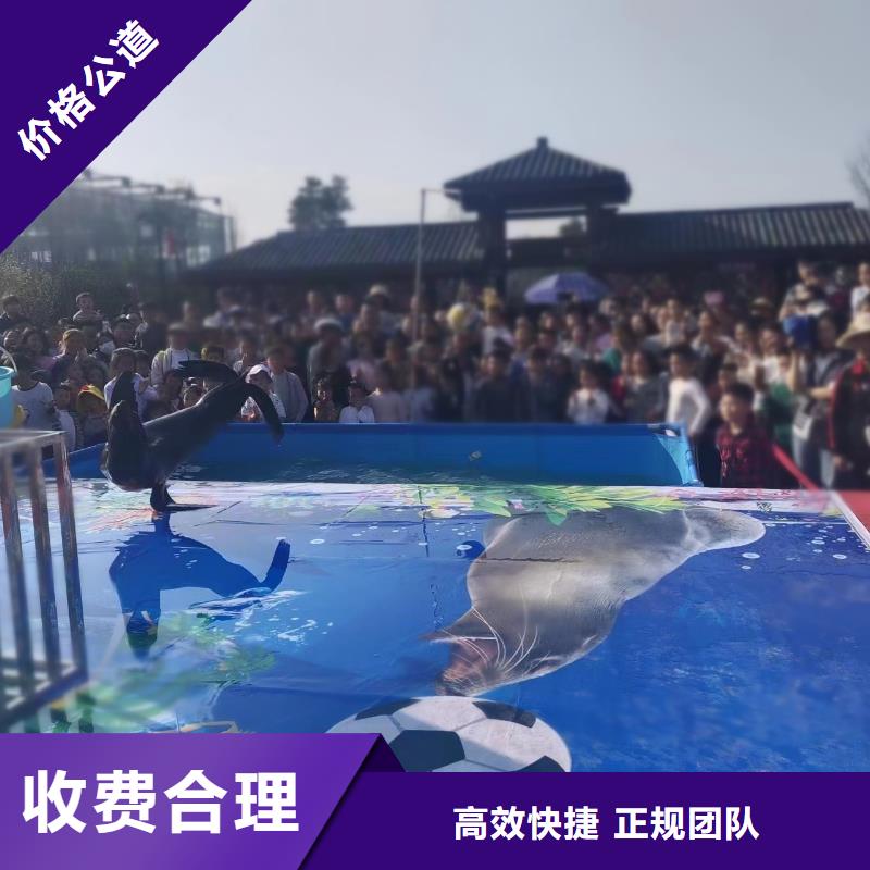 哪有租赁美人鱼表演的主题展览