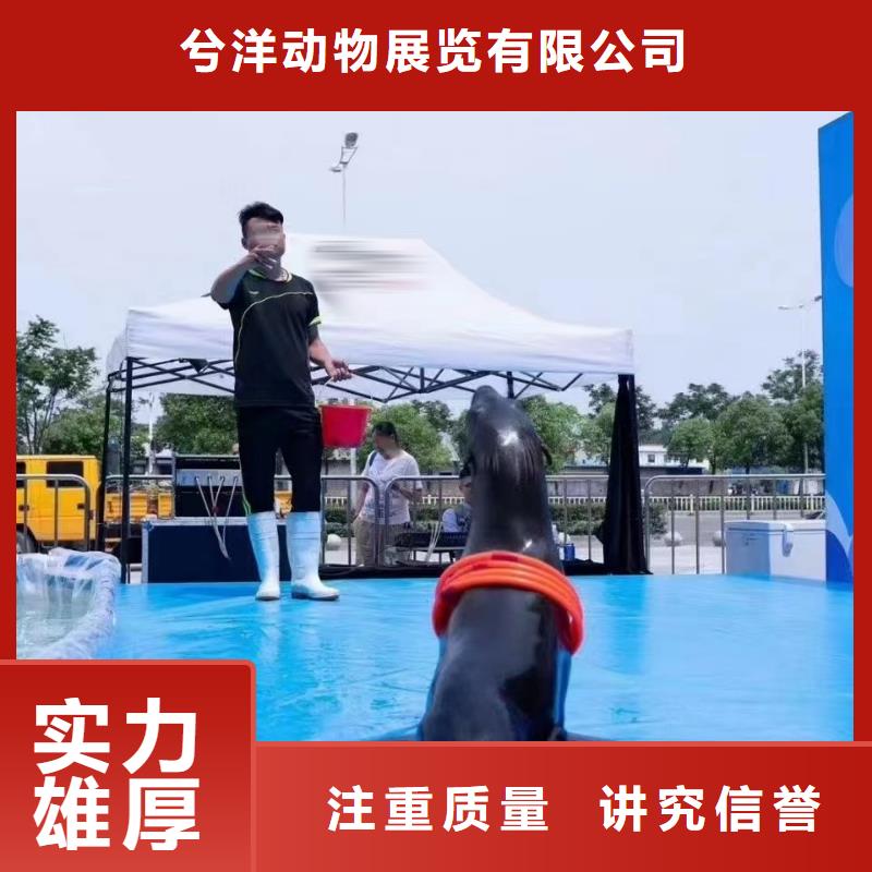 海洋生物展出租公司活动图片