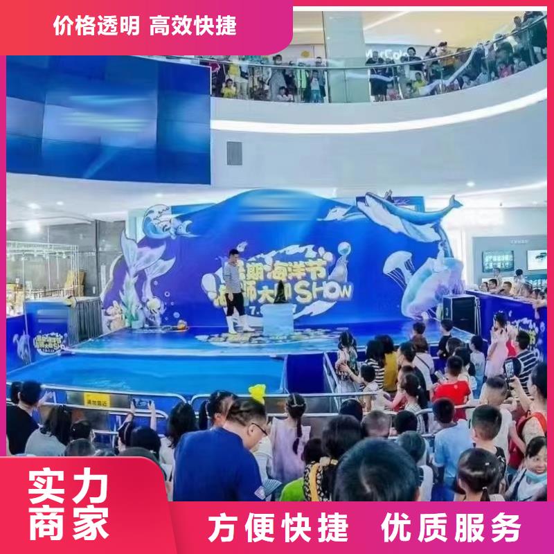 海洋主题动物表演海狮表演出租案例丰富