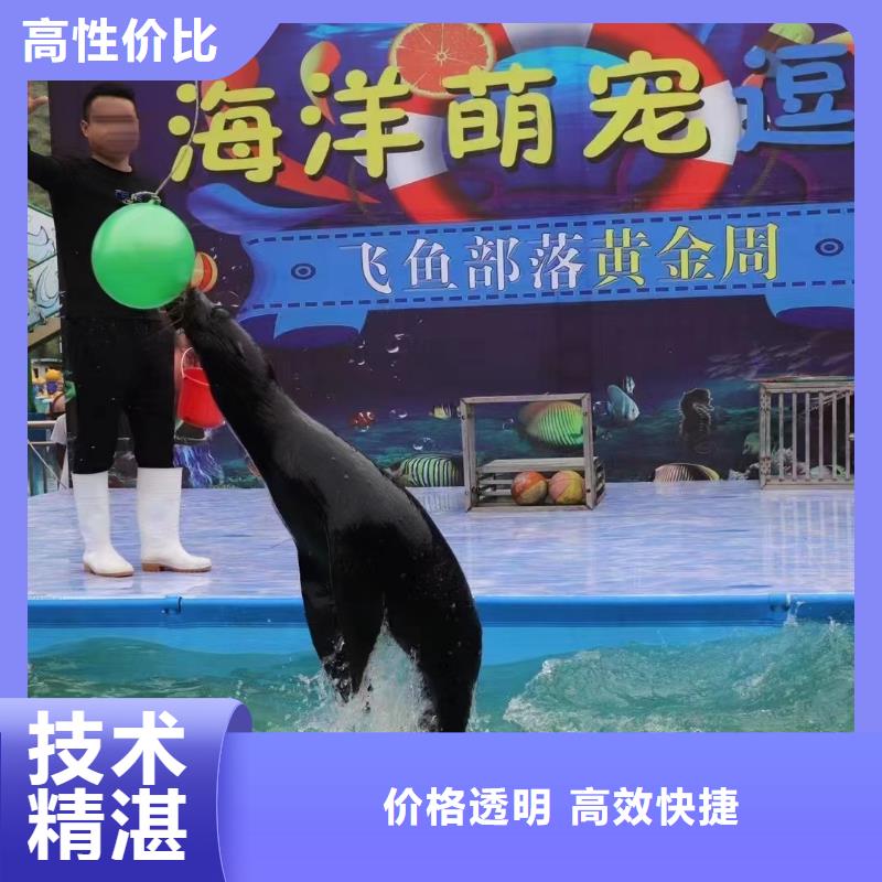 海狮表演出租