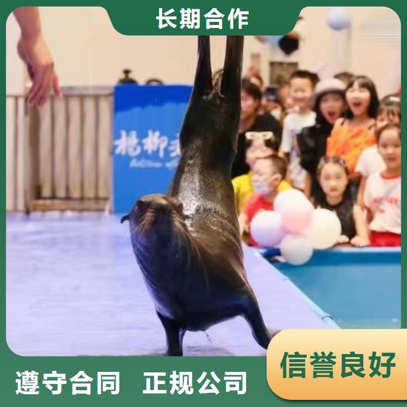 海洋展出租庆典活动
