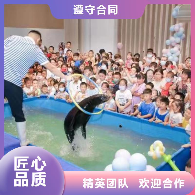 租赁海狮表演主题展览