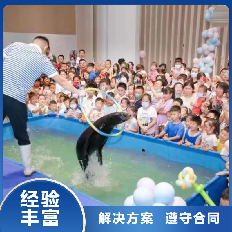 【海洋主题动物表演_【活体羊驼租赁】2025公司】
