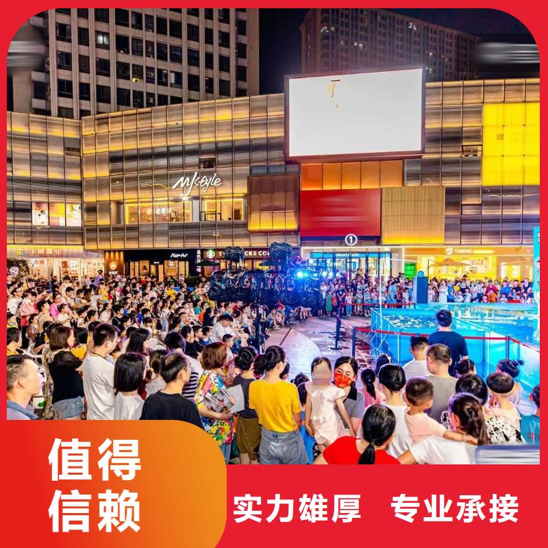 海洋主题动物表演 小马戏表演出租技术精湛