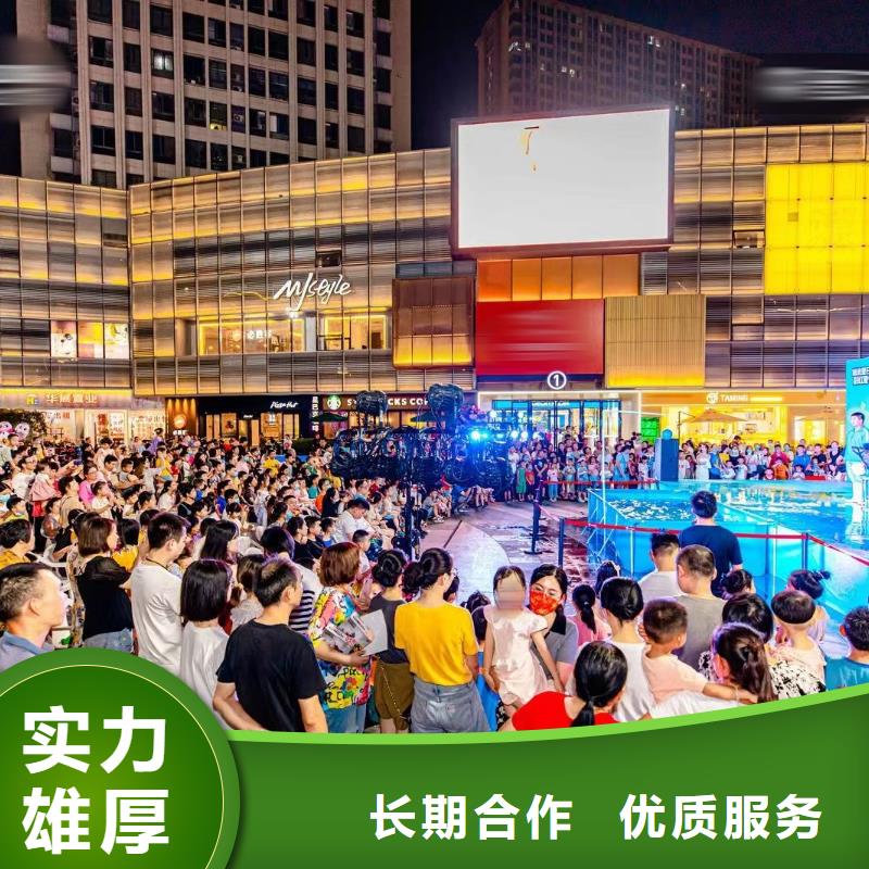 海洋主题动物表演,企鹅租赁2025公司精心