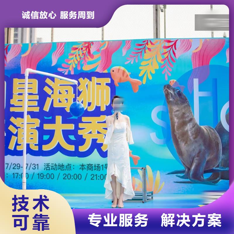 【海洋主题动物表演_动物表演出租技术好】