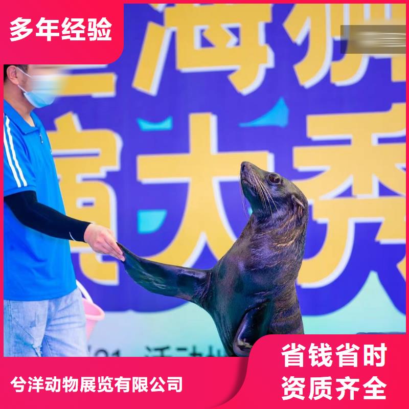 美人鱼表演出租一手资源