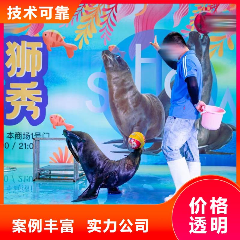 海洋主题动物表演-动物展览秀资质齐全