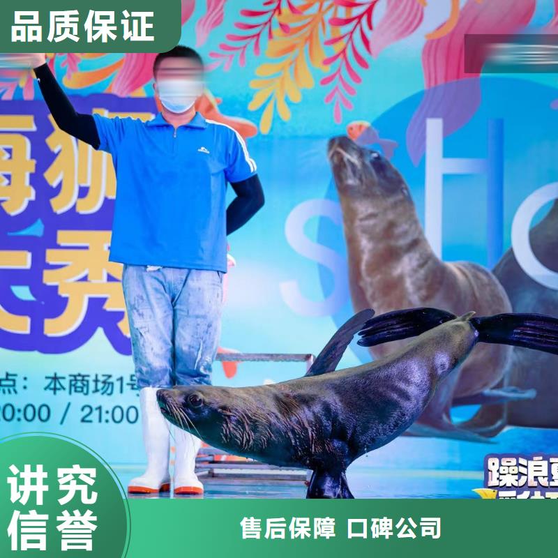 海洋生物展出租公司活动图片