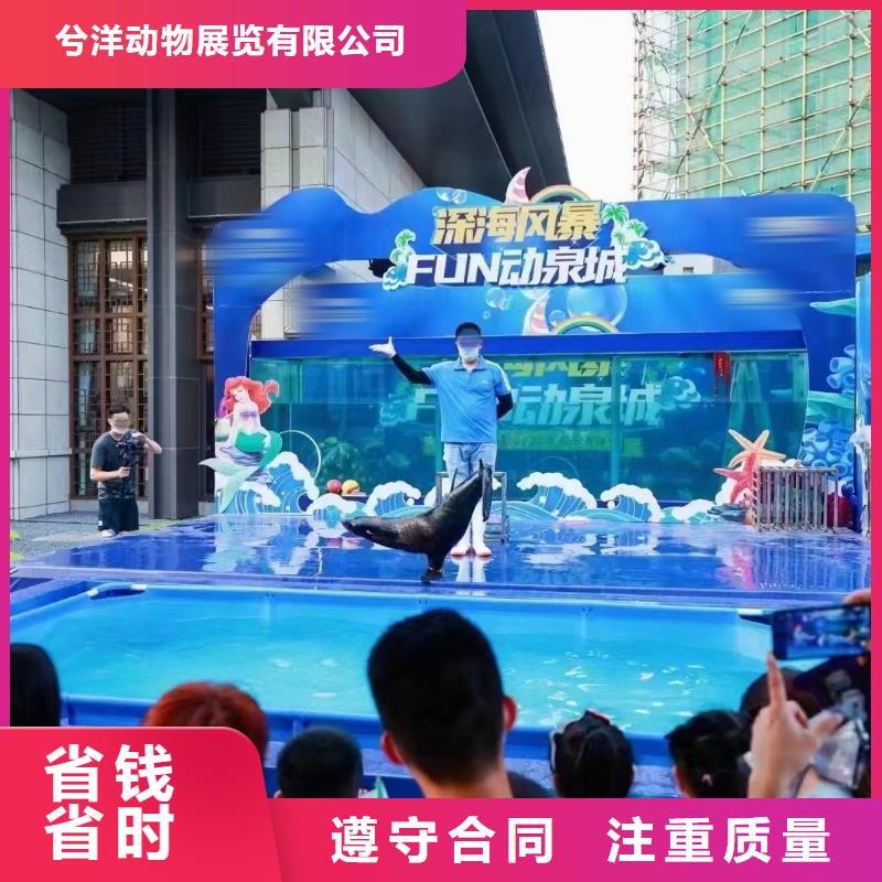【海洋主题动物表演】美人鱼表演诚信