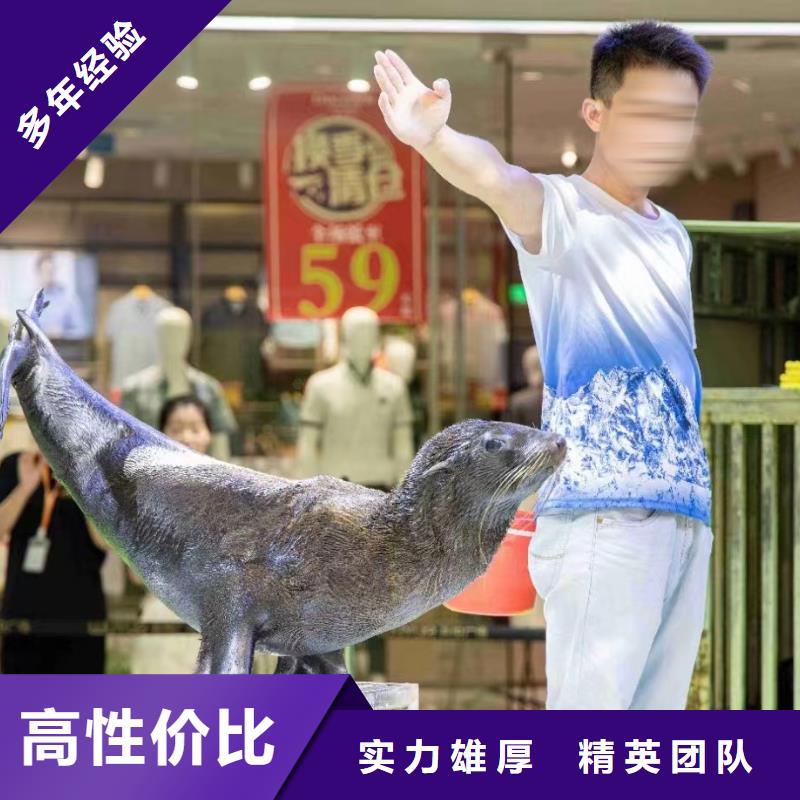海洋主题动物表演小香猪宠物出租服务至上
