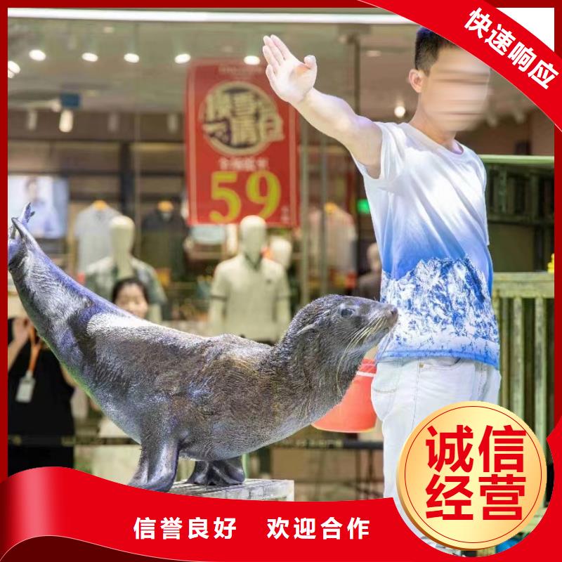 海洋主题动物表演出租表演海狮放心