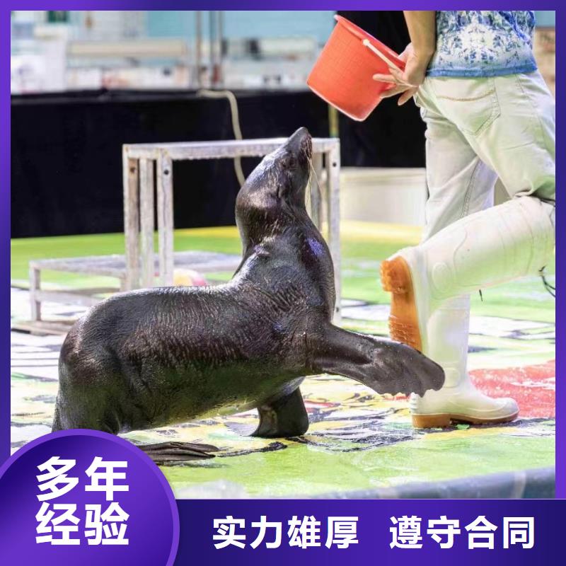 海洋展出租庆典活动