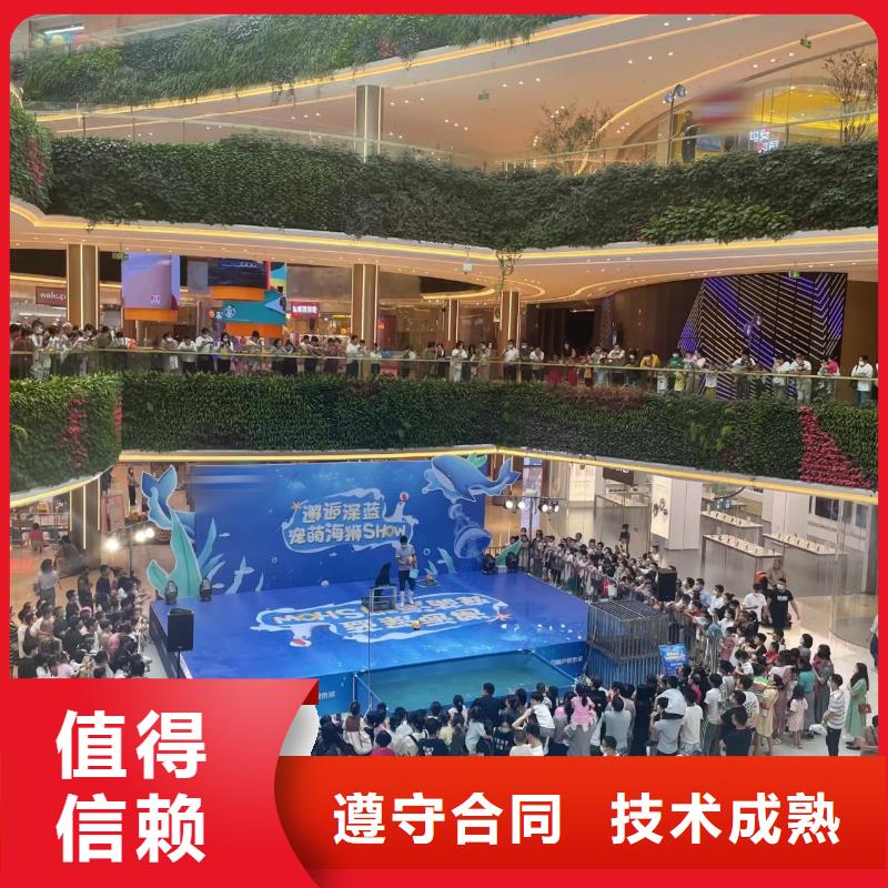 海洋主题动物表演马戏团表演先进的技术