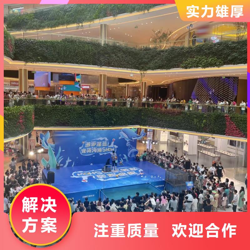 海洋主题动物表演,【海狮表演】口碑商家